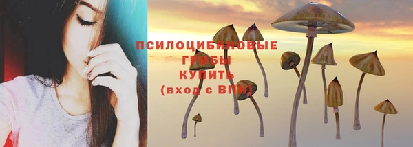 ПСИЛОЦИБИНОВЫЕ ГРИБЫ Армянск
